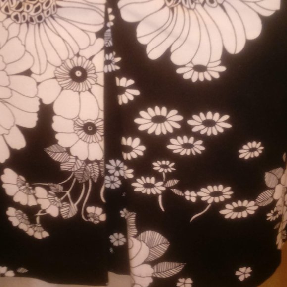 Maximo - Picture 3 of 6